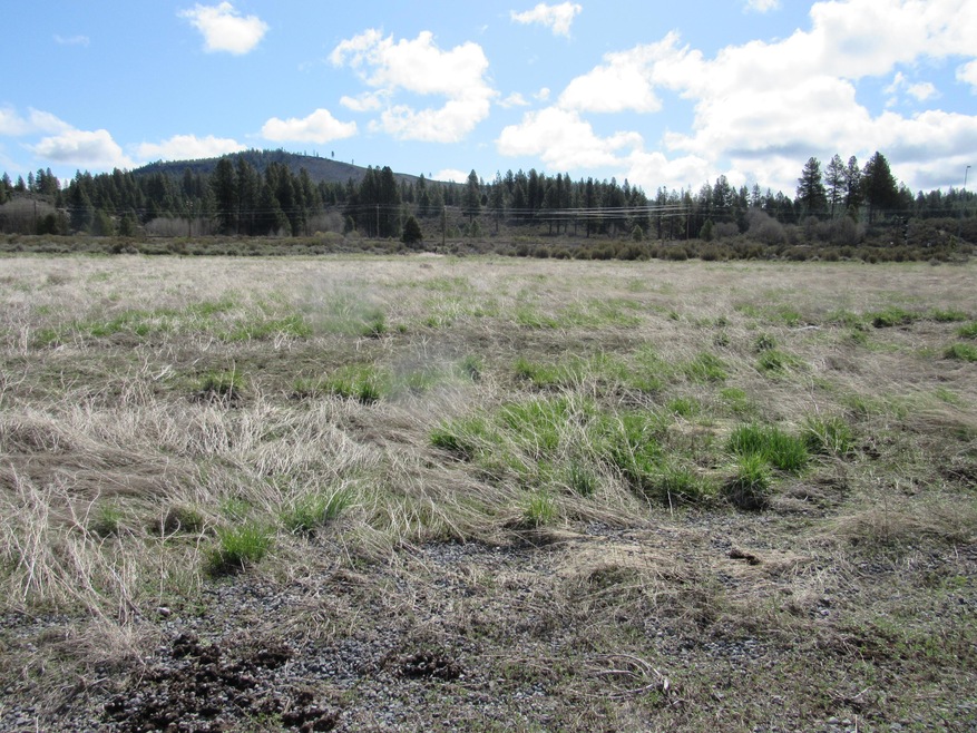 Pine Ridge Ranches
