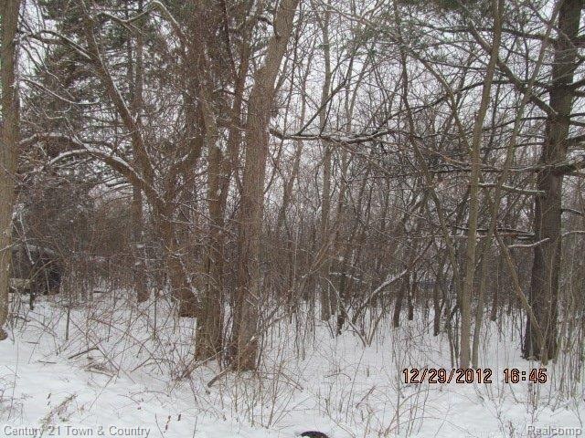 IMG_9714.JPG