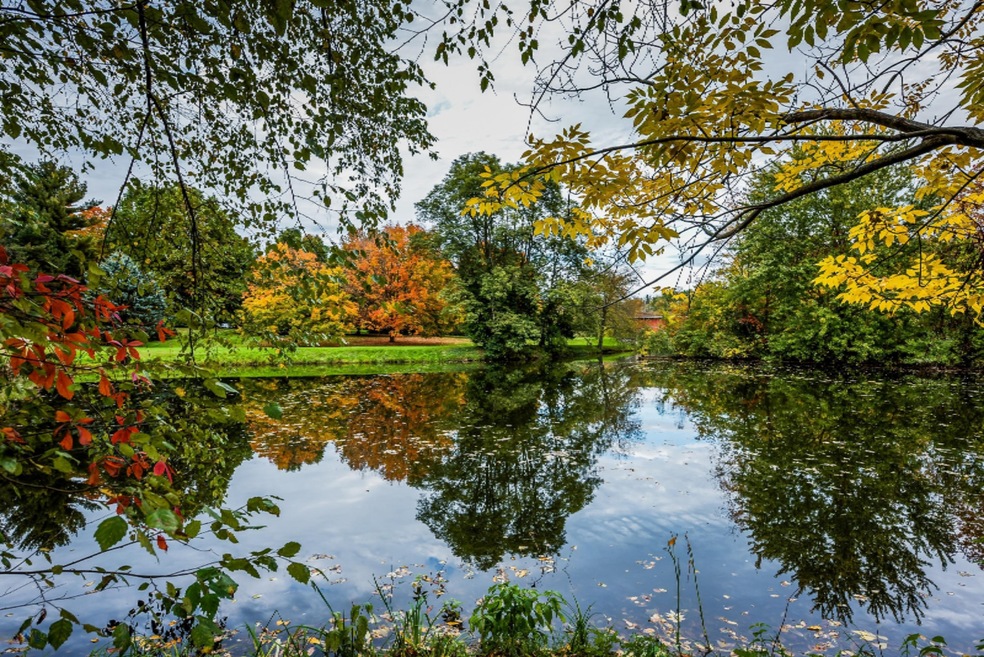 24_3365WSmallRoad_353_Pond_HiRes