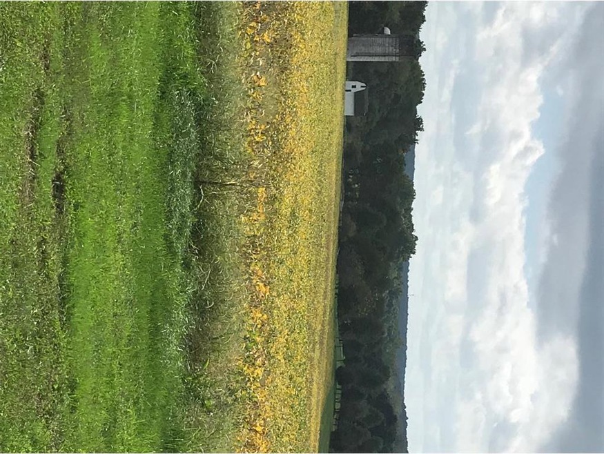 1285 Saint Pauls Church Rd, Pennsburg, PA 18073 - photo 1