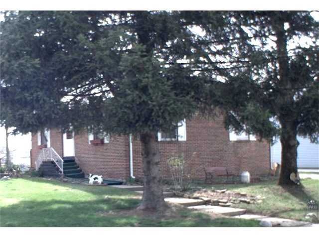 Primary Photo