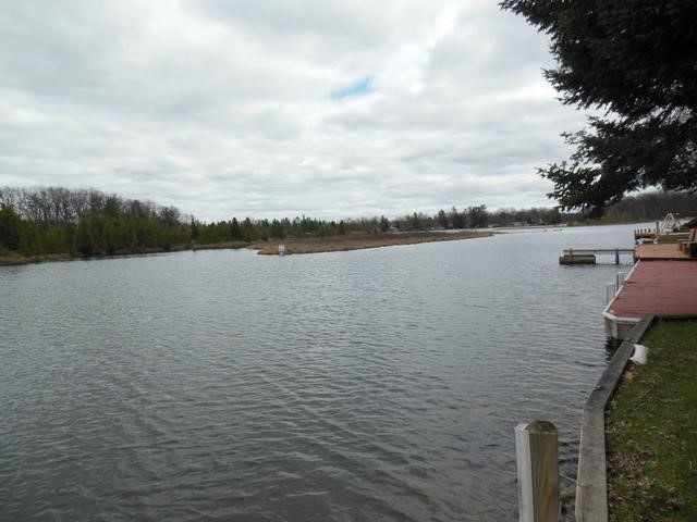 43 Cedar Shores Dr, Hayes Township, MI 48625 - photo 1