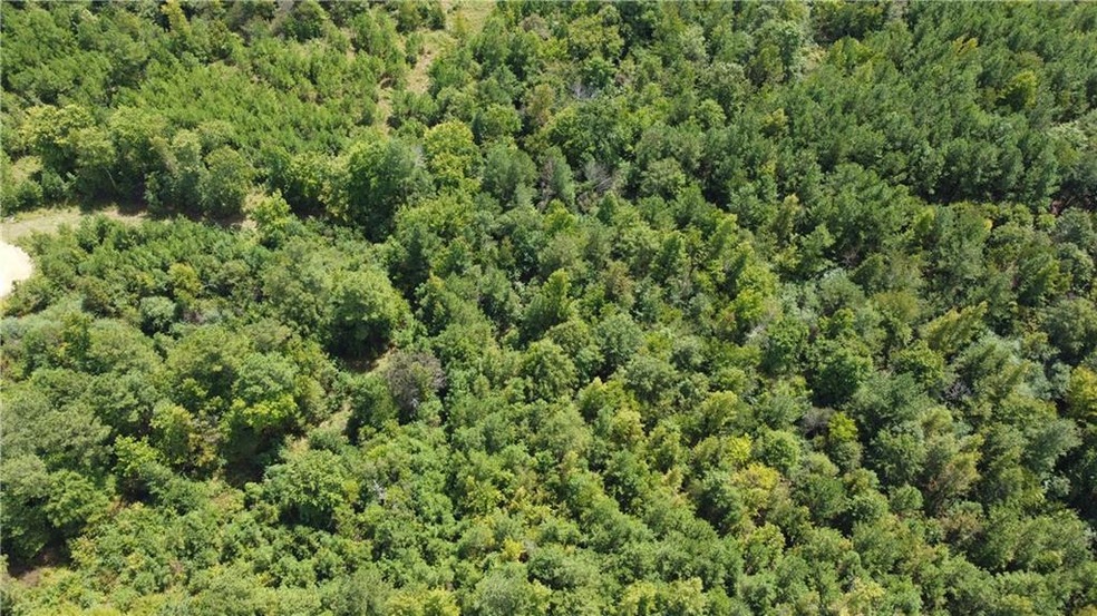 00 Pleasant Hill Rd NE, Ranger, GA 30734 - photo 1