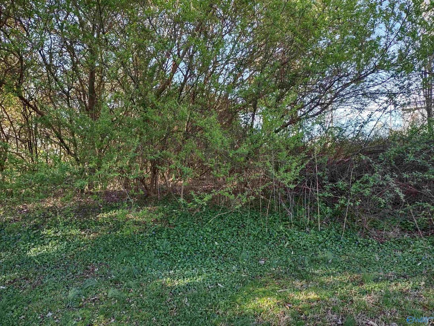 74 Lemons Rd, Grant, AL 35747 - photo 1