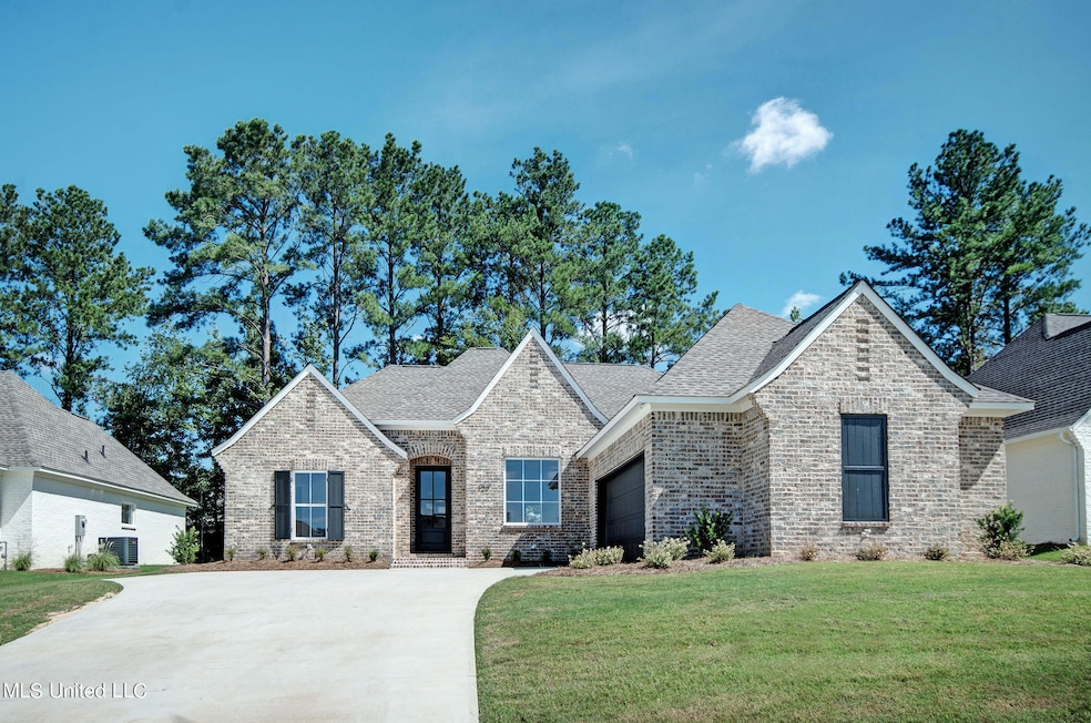 129 Herons Bay Cir, Madison, MS 39110 - photo 1