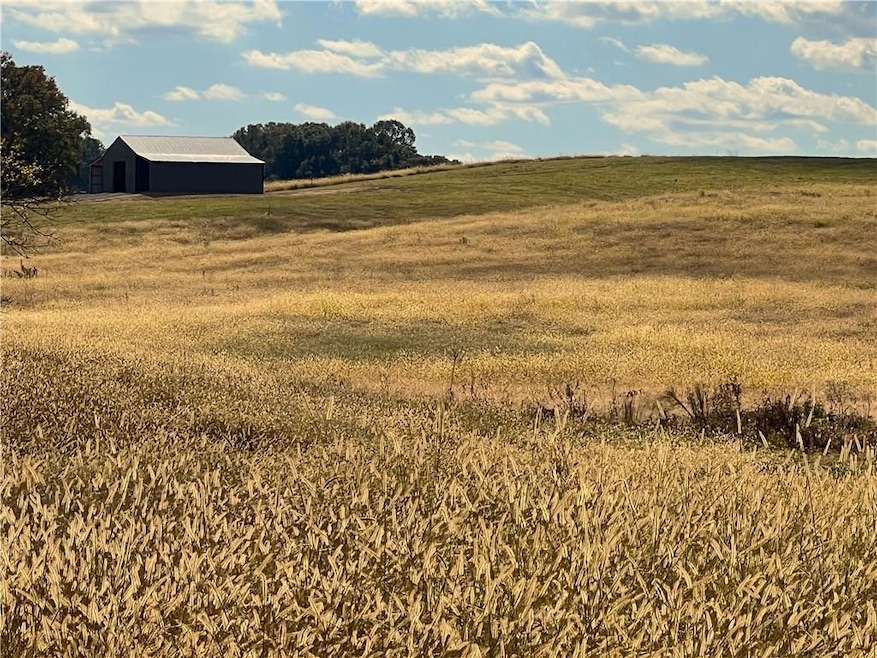 00 Hunts Gin Rd L1, Calhoun, GA 30701 - photo 1