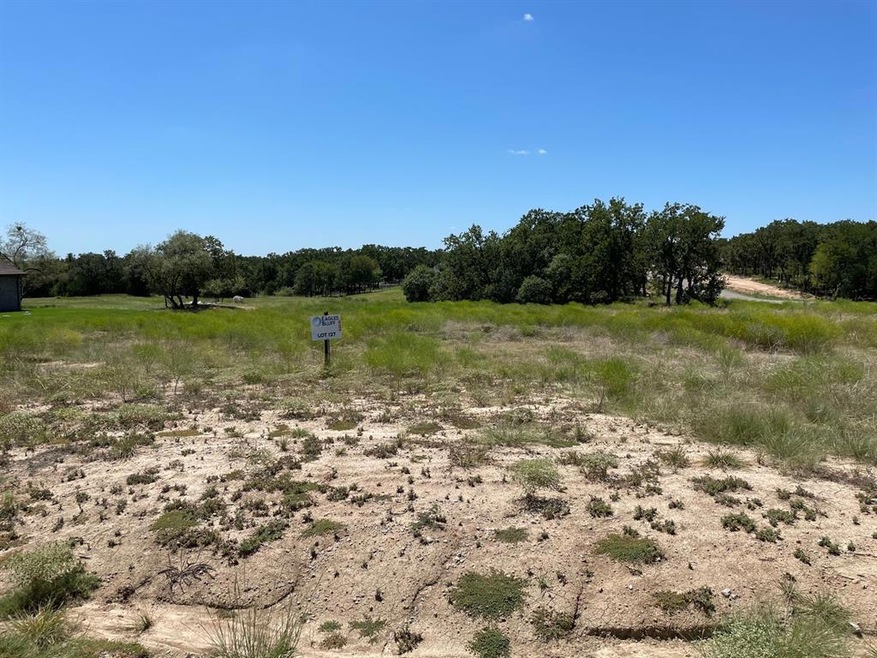 1000 Sky Rd, Weatherford, TX 76087 - photo 1