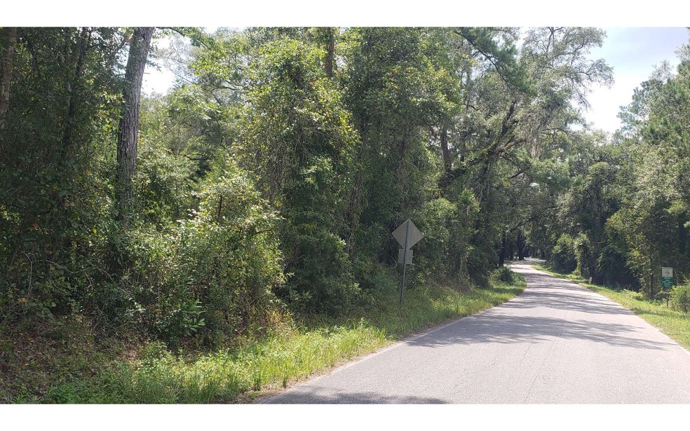 TBD 142nd St, Dowling Park, FL 32060 MLS 120582