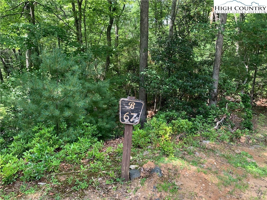 Lot #67 Autumn Fern Trail, West Jefferson, NC 28694 - photo 1