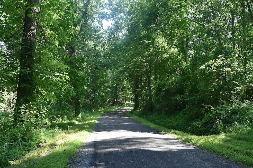 74 Langridge Rd, Tivoli, NY 12583 - photo 1