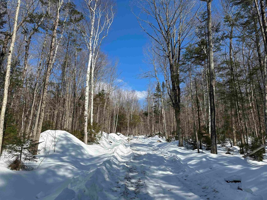 360 Dorman Rd, Andover, VT 05143 - photo 1