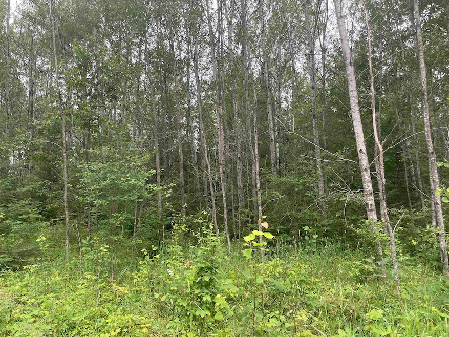 0 W Miller Rd unit 50168811, Mio, MI 48647 - photo 1