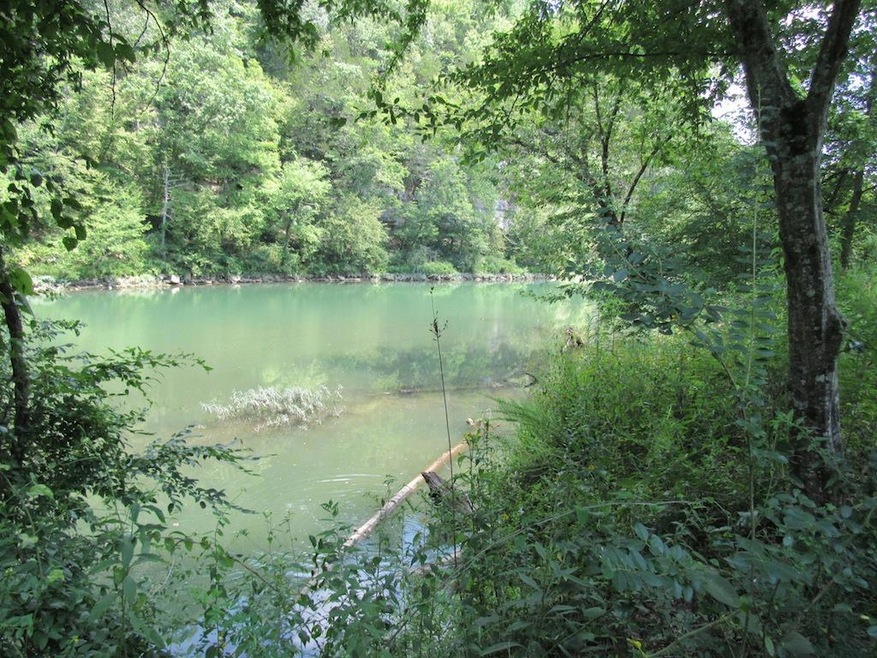 0 Lot 42 & 43 Dailey Loop unit 1849204, Linden, TN 37096 - photo 1