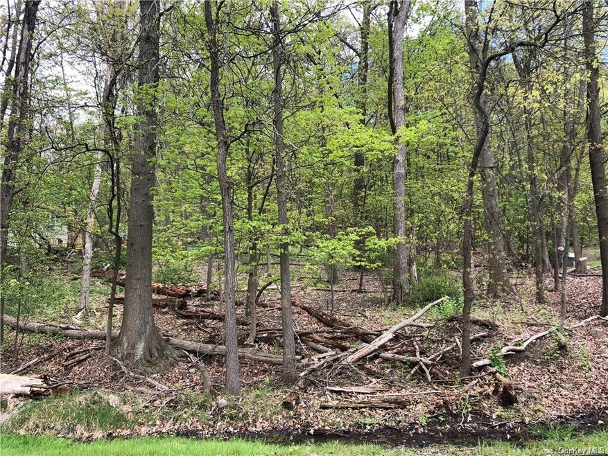 41 Sayer Rd, Blooming Grove, NY 10914 - photo 1