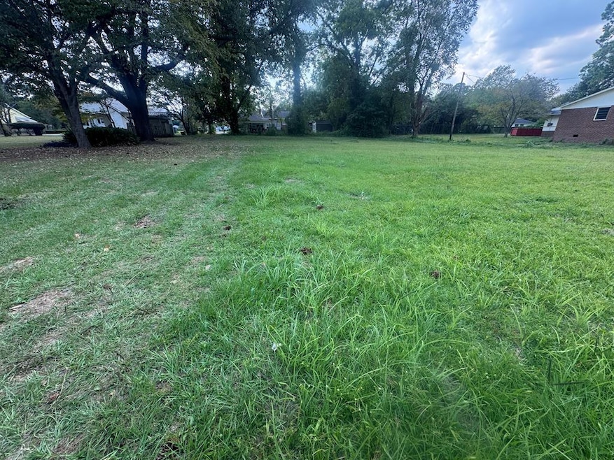 00 Woodrow Ave, Dublin, GA 31021 - photo 1