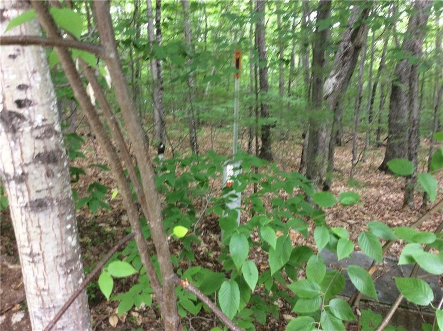 146 S Bridgton Rd, Bridgton, ME 04009 - photo 1