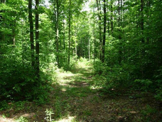 Donny brook 1