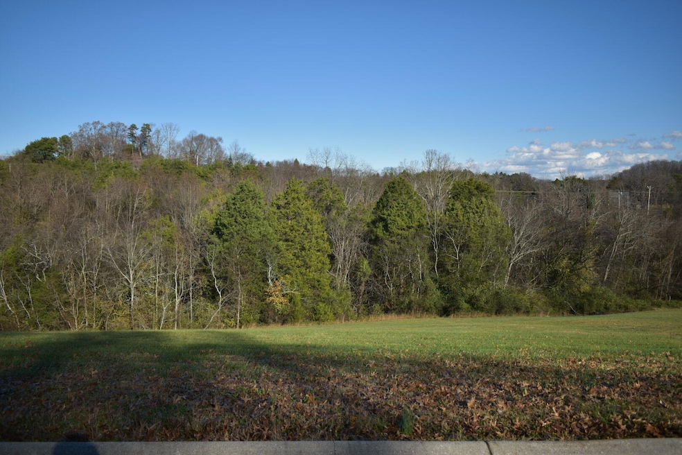 Lot 4 Constitution Dr, Jefferson City, TN 37760 - photo 1