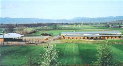 Primary Photo