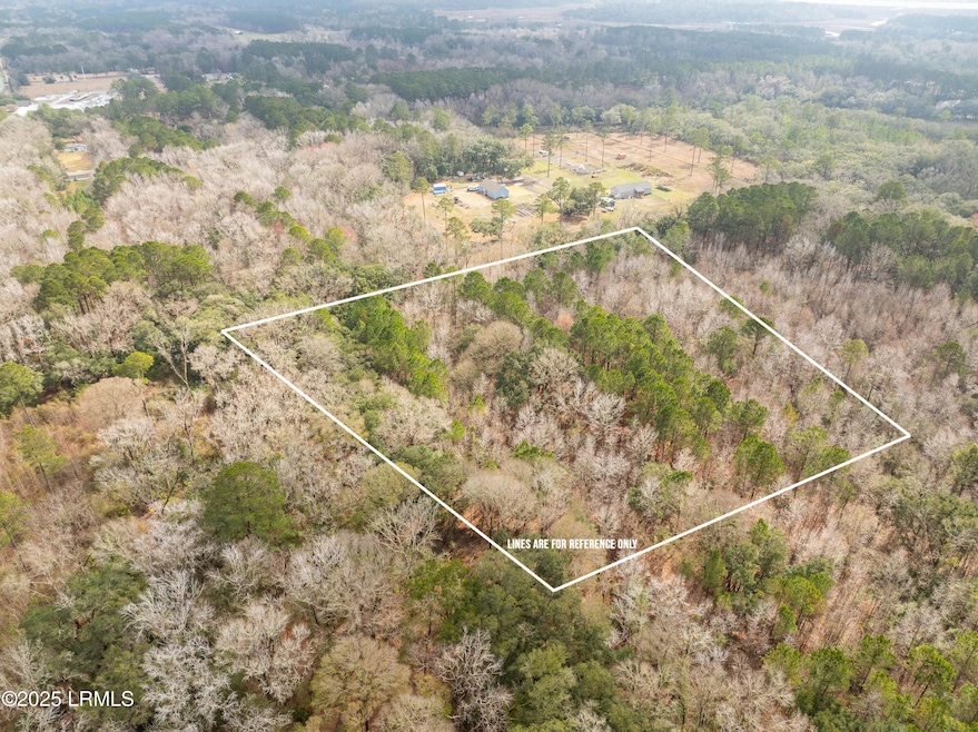 Tbd Morgan Rd, Seabrook, SC 29940 - photo 1