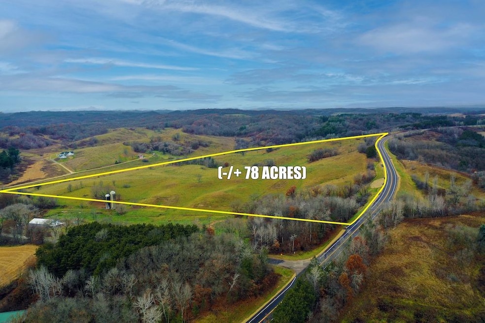 Tbd, Eleva, WI 54738 - photo 1