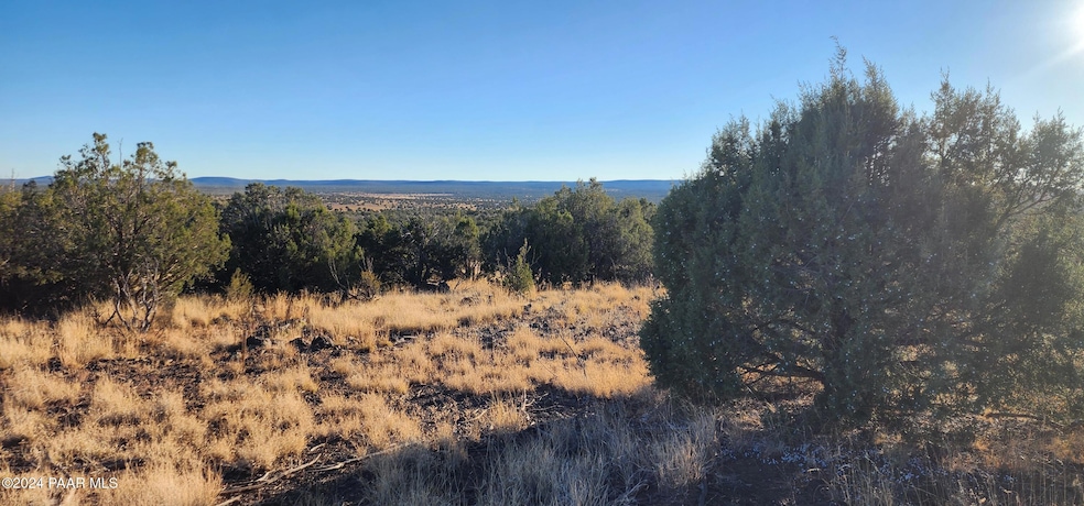 88-A Rose Ln, Ash Fork, AZ 86320 - photo 1