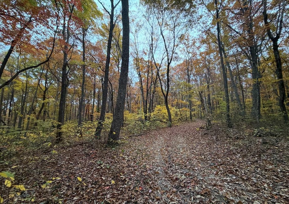 0 Valley View Drive Lot 34, Altamont, TN 37301 - photo 1