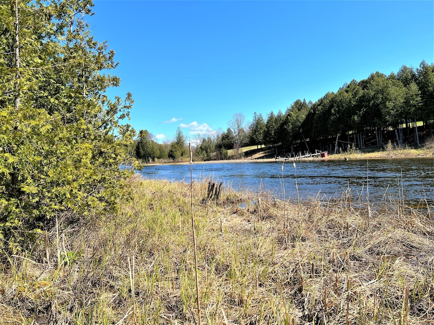 Lot 5 c