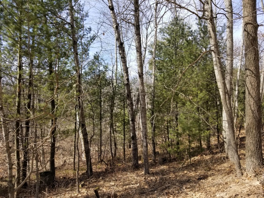 8821 30th Ave, Merrill Township, MI 49309 - photo 1