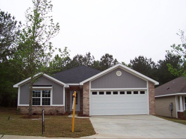 Main View