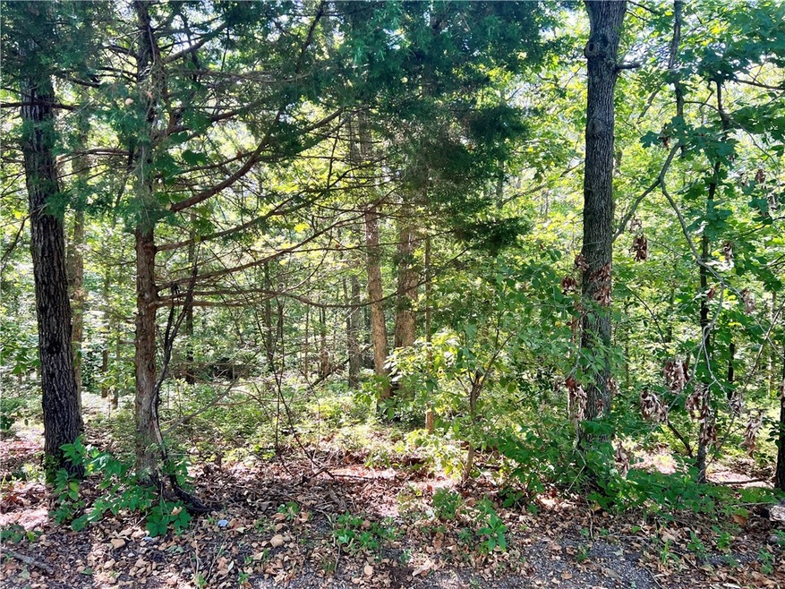 Lot 19 & 20 Arran Ln, Bella Vista, AR 72715 - photo 1