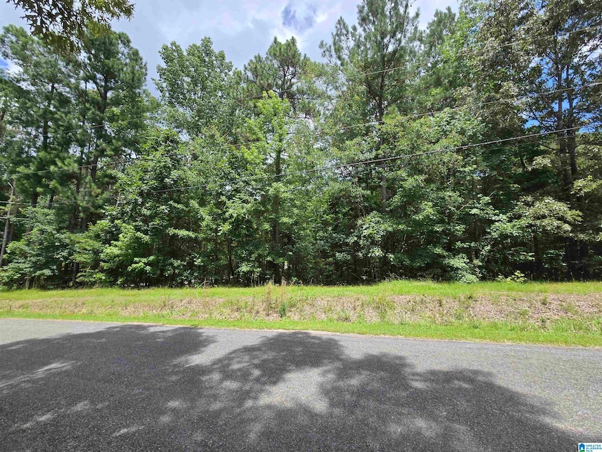 171 Rivercrest Dr unit 5, Vincent, AL 35178 - photo 1