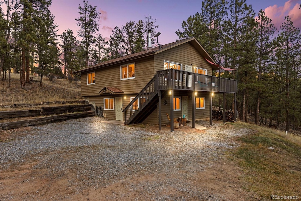 22 Driver Rd, Bailey, CO 80421 - photo 1