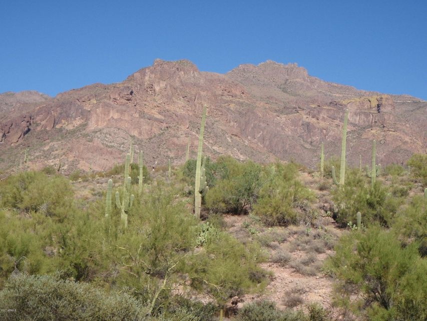 GOLD CANYON!