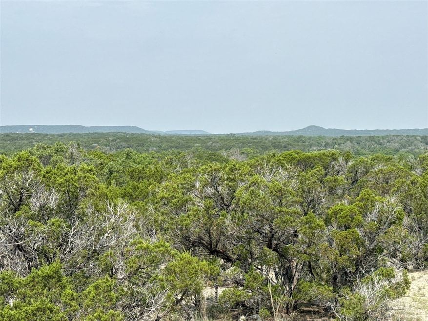 TBD 2010 unit Lot 4, Glen Rose, TX 76043 - photo 1