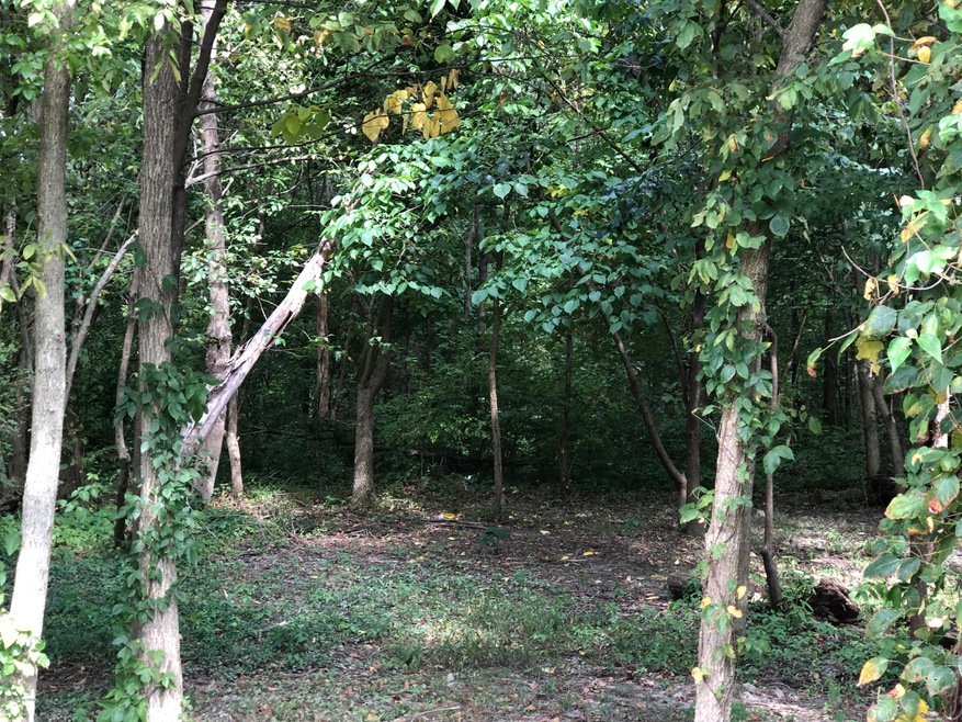 9105 Maple Rd, Louisville, KY 40229 - photo 1