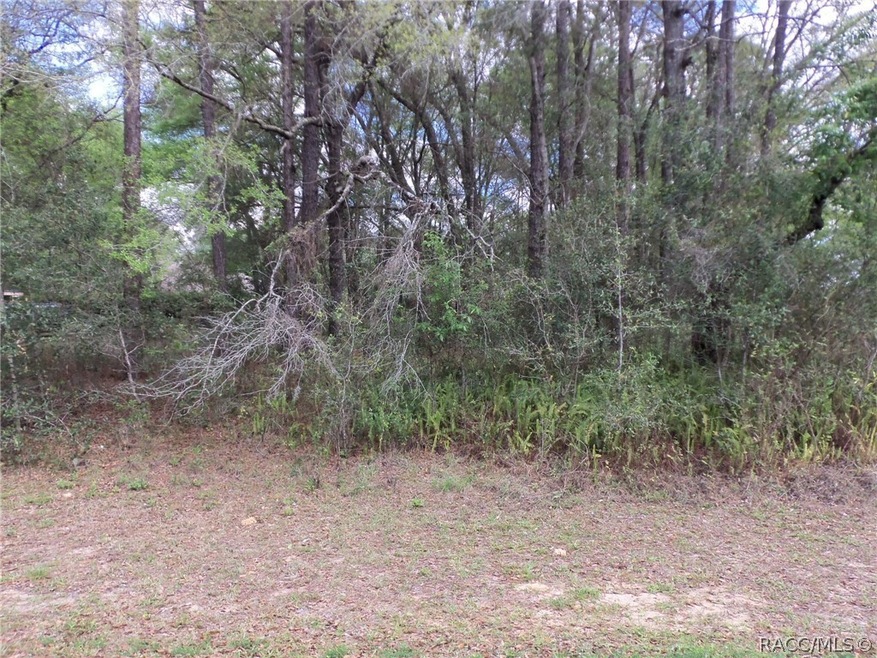 Lot 2 SW 197th Cir, Dunnellon, FL 34432 - photo 1