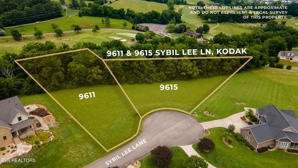 9611 9615 Sybil Lee Ln, Kodak, TN 37764 - photo 1