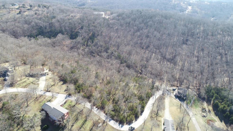 Tbd O'Leary Dr, Kimberling City, MO 65686 - photo 1