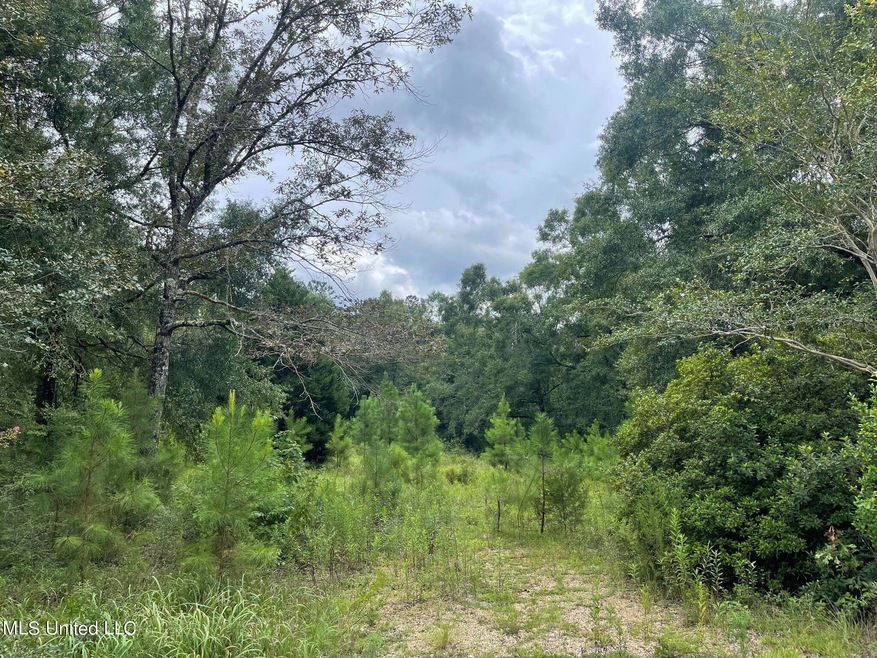3.5 Acres Ben Rogers Rd, Lucedale, MS 39452 - photo 1