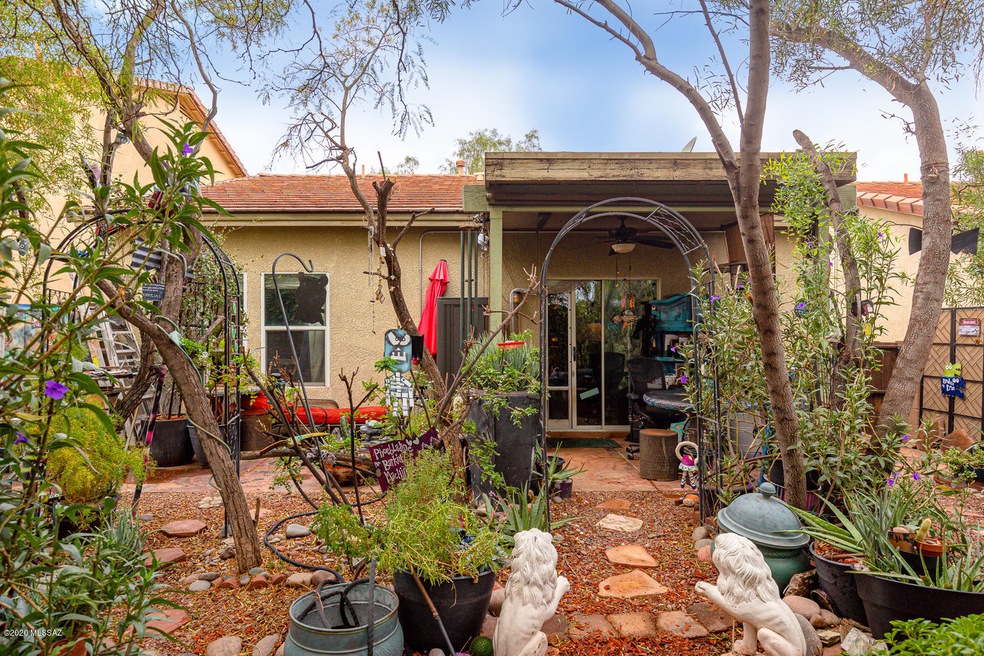 Back yard oasis