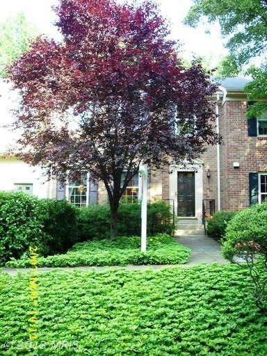 6822 Earthstar Ct, Springfield, VA 22152 - photo 1