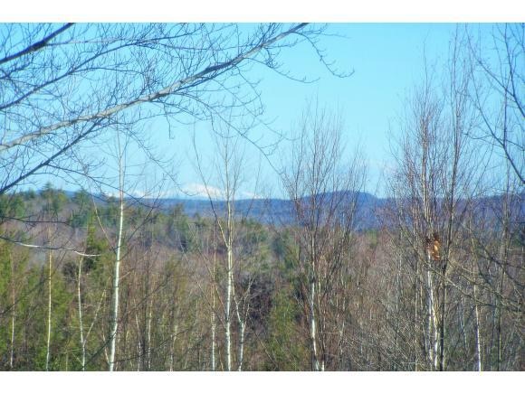128 Moose Mountain Rd, Brookfield, NH 03872 - photo 1