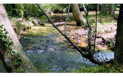 184 Burnt Mountain Rd, Ellijay, GA 30536 - photo 1