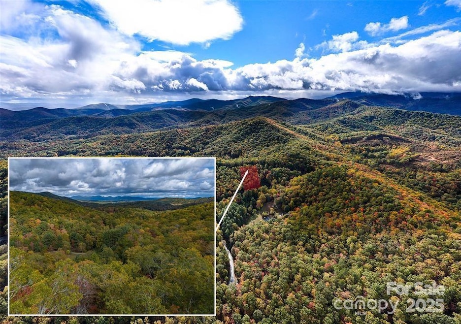 99999 Mills River Way unit Lot 107, Mills River, NC 28742 - photo 1