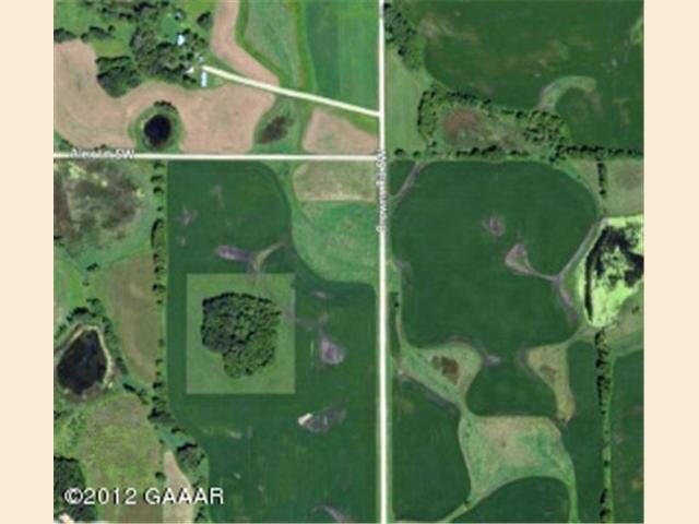 0 Browns-Road-sw unit 4391063, Brandon, MN 56315 - photo 1