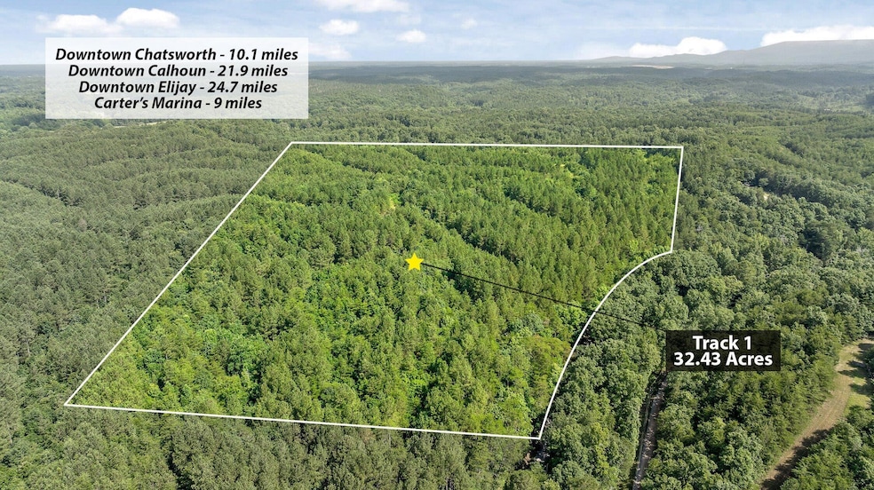 Tract 1 Conniston Rd, Chatsworth, GA 30705 - photo 1