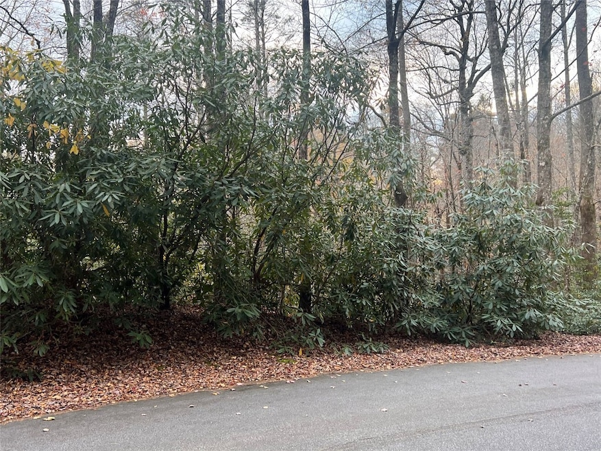 View of Lot 72 from Hickory Drive