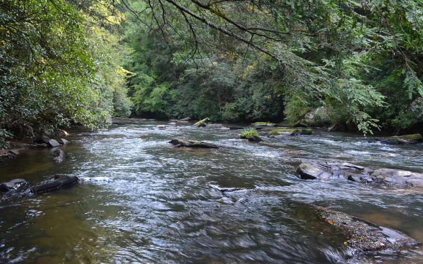 Main View
