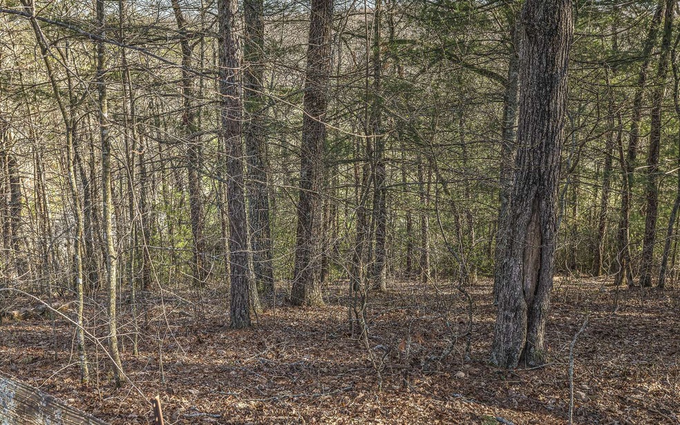 LT109 Fawn Way, Mineral Bluff, GA 30559 - photo 1